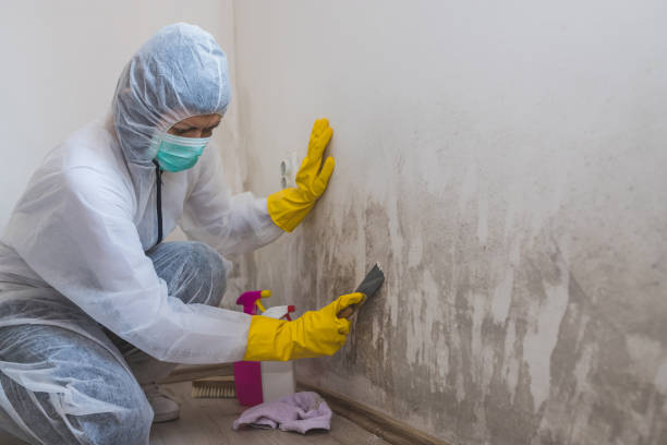 Best Biohazard Mold Removal  in Milford, PA